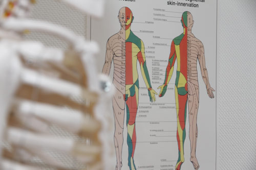 Wandkarte mit Therapieansatzpunkten